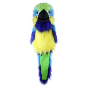 LARGE BIRDS - Blue & Gold Macaw