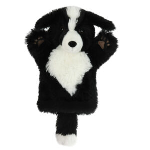 CARPETS GLOVE - Border Collie