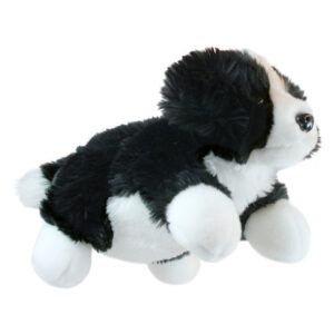 FULL-BODIED ANIMAL - Border Collie