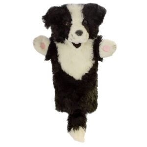 LONG-SLEEVED - Border Collie