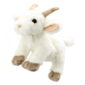 FULL-BODIED ANIMAL - Goat