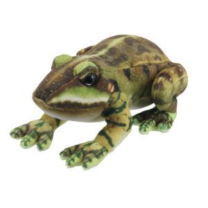 LITTLE CREATURES - Frog (Green)