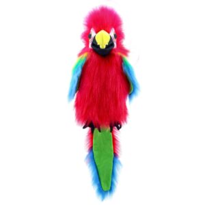 LARGE BIRDS - Amazon Macaw