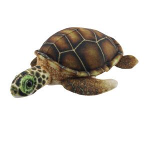 LITTLE CREATURES - Turtle