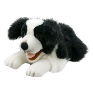 PLAYFUL PUPPIES - Border Collie