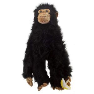 PRIMATES - Chimp (Large)
