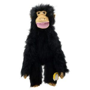 PRIMATES - Chimp (Medium)