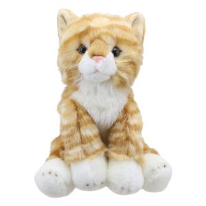 WILBERRY FAVOURITES - Cat (Ginger)