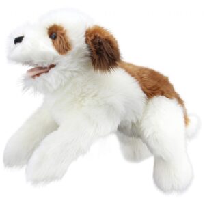 PLAYFUL PUPPIES - Brown & White Puppy
