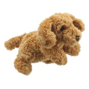 FULL-BODIED ANIMAL - Cockapoo