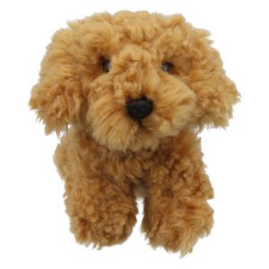 WILBERRY MINIS - Cockapoo