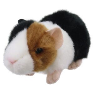 WILBERRY MINIS - Guinea Pig