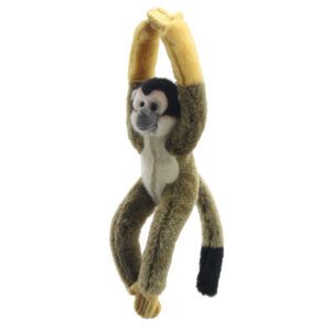 WILBERRY CANOPY CLIMBERS - Squirrel Monkey