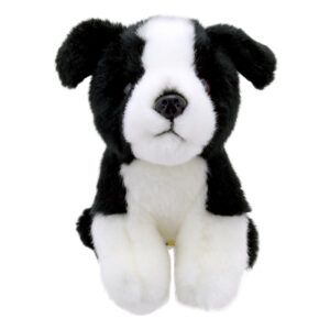 WILBERRY MINIS - Border Collie